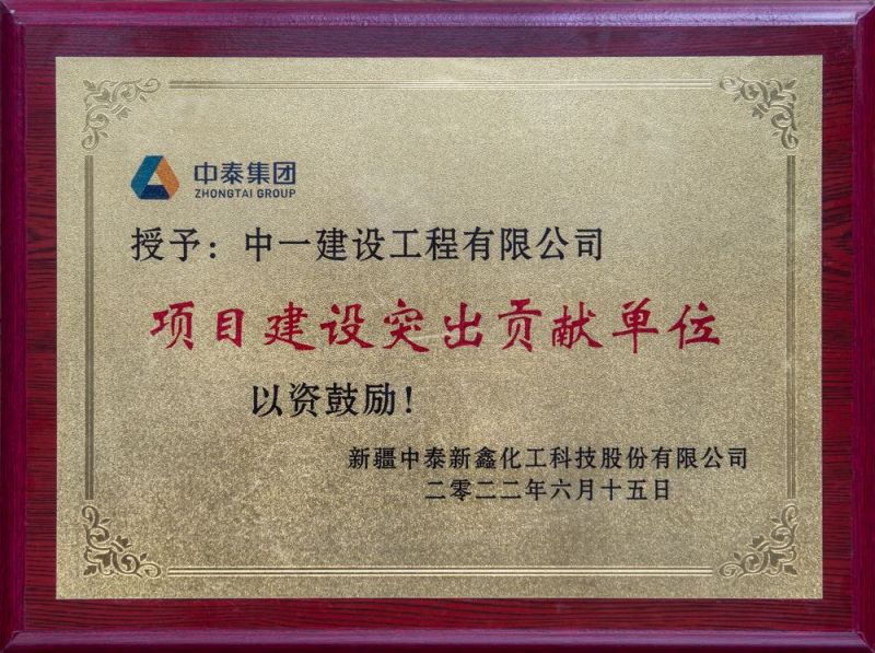 項目建設突出貢獻單位