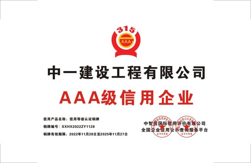 中一建設工程有限公司--銅牌